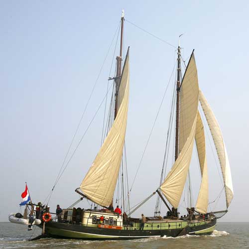 Dagtocht Waddenzee