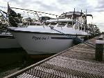 Yachtcharter Turfskip